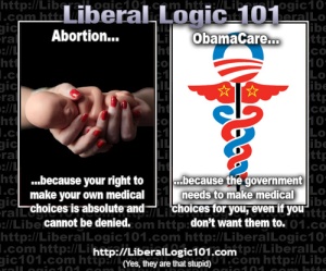 liberal-logic-101-313